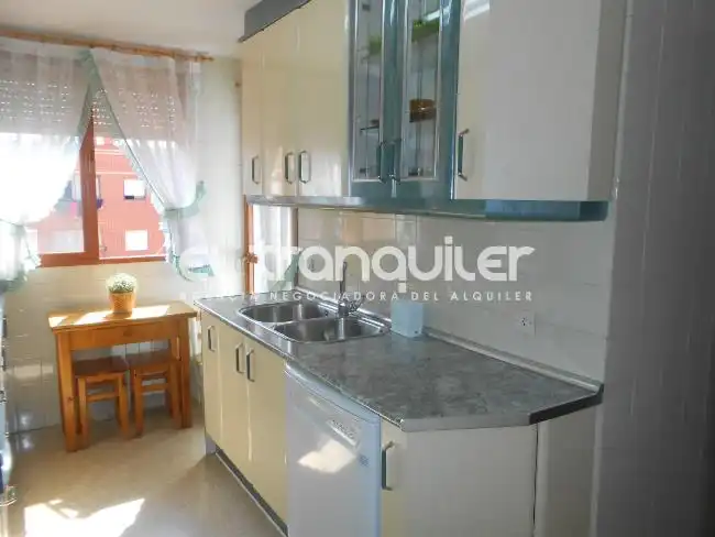 Kitchen of Flat for sale in  Madrid Capital  with Air Conditioner, Terrace and Furnished