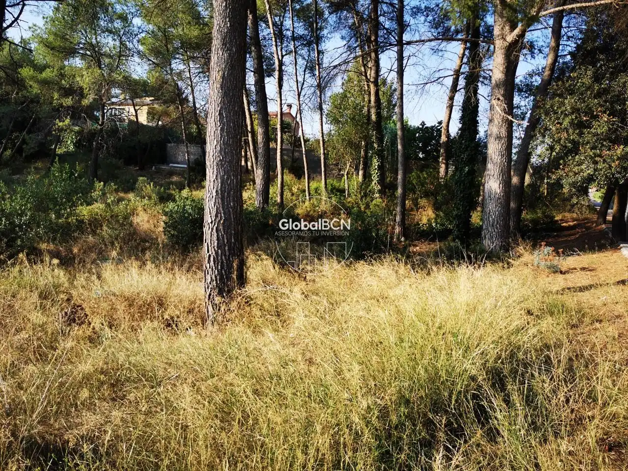 Terreni e lotti in vendita a Corbera de Llobregat, imagen 7