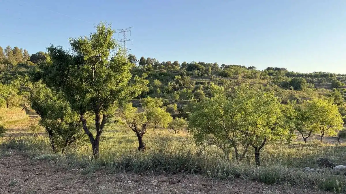 Casa o xalet en venda en La Fatarella amb Jardí privat