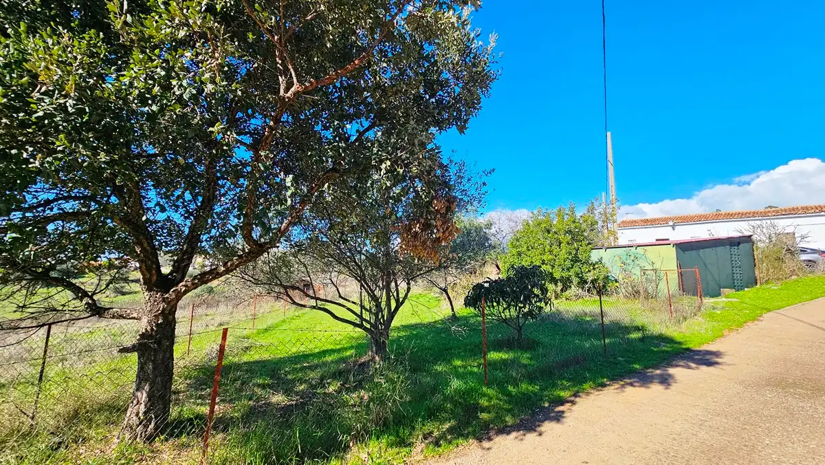 Casa o xalet en venda en Almonaster la Real amb Jardí privat, Terrassa i Traster