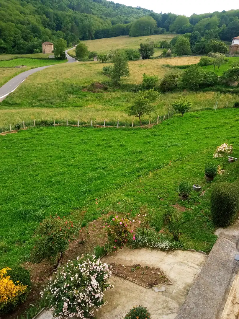 Finca rústica en venta en Tineo con Jardín privado, Parquet y Terraza