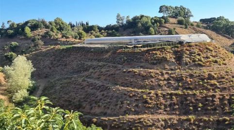 Foto 3 de Finca rústica en venta en Calle Gerald Brenan, 44, Centro, Alhaurín El Grande