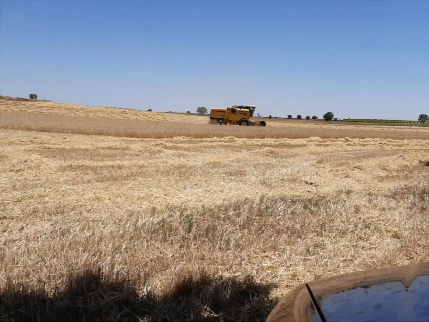 Finca rústica en venda en Corral de Almaguer