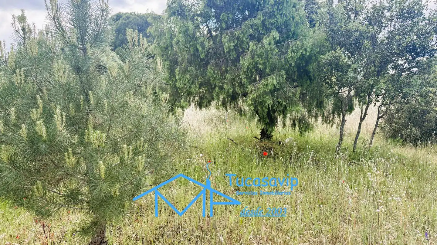 Terreni e lotti in vendita a El Tiemblo, imagen 9