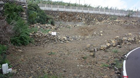 La PalmaTerreno, imatge 2