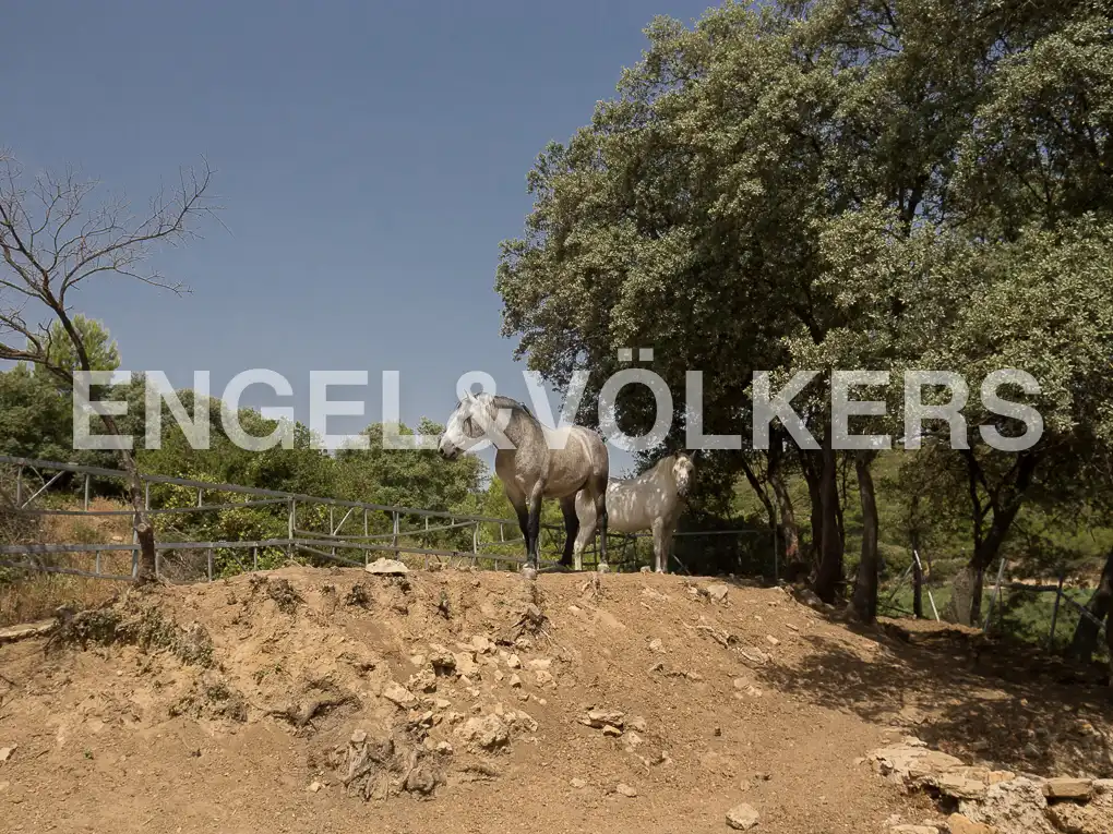 Casa o chalet en venta en Enguera con Aire acondicionado, Calefacción y Jardín privado