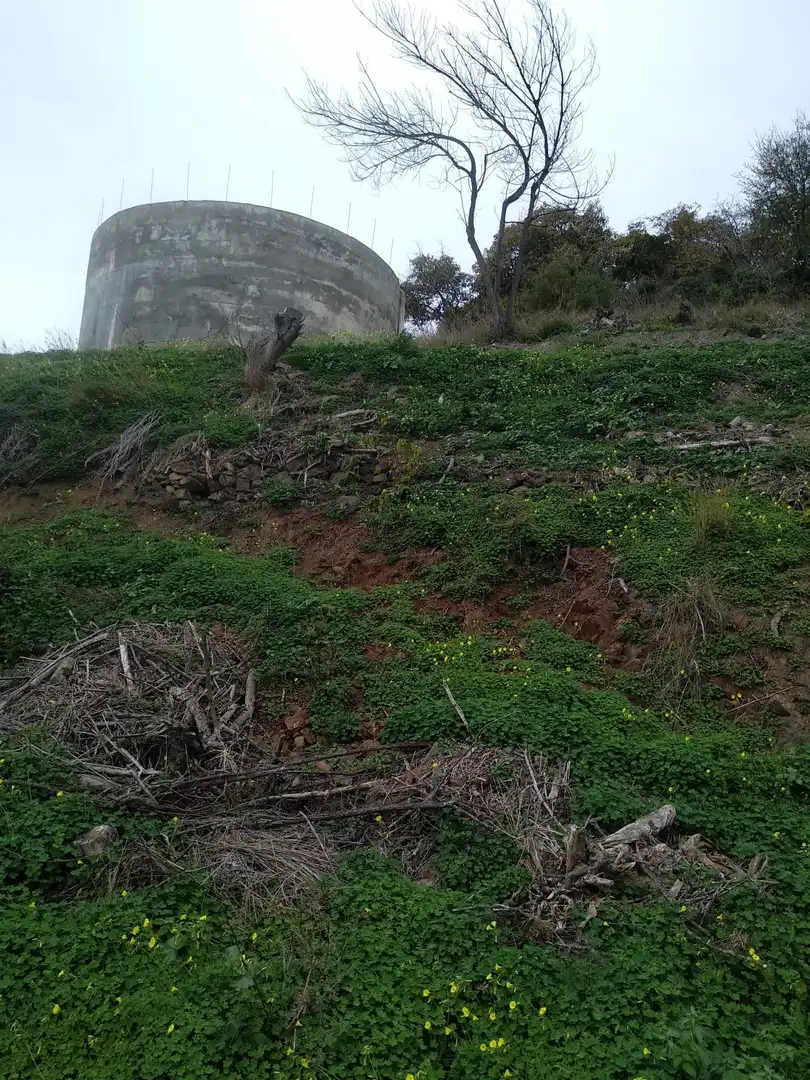 Casa rústica amb jardí en venda a Motril  ciudad, imagen 6