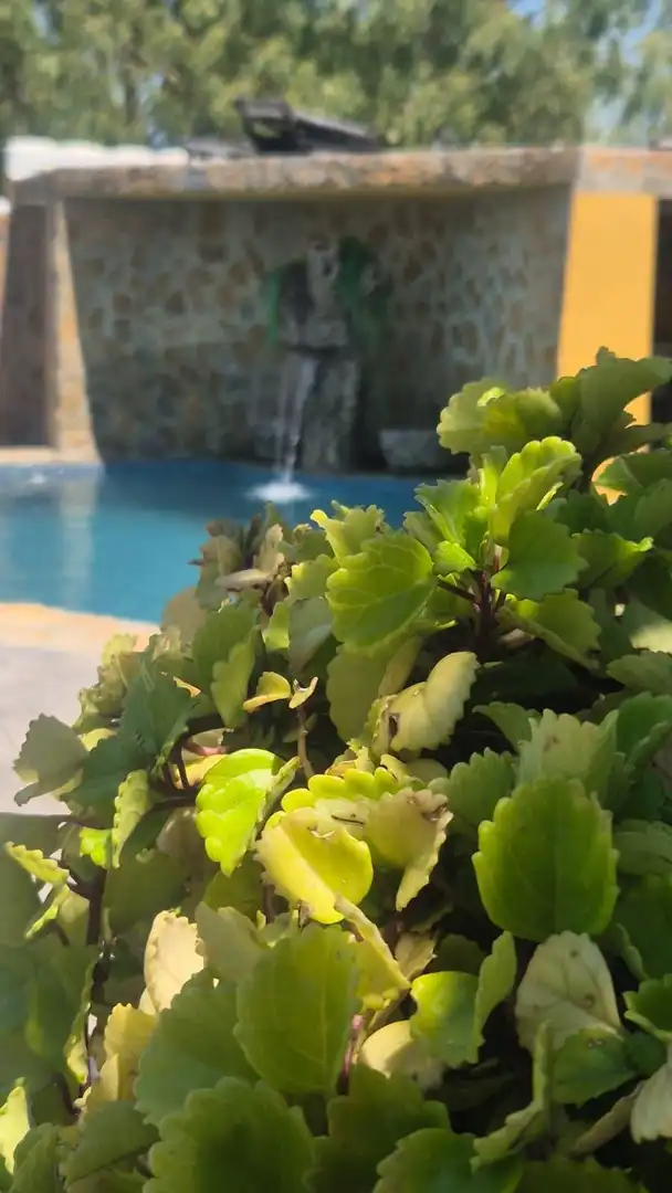 Casa rústica amb piscina en venda a Jimena de la Frontera, imagen 19
