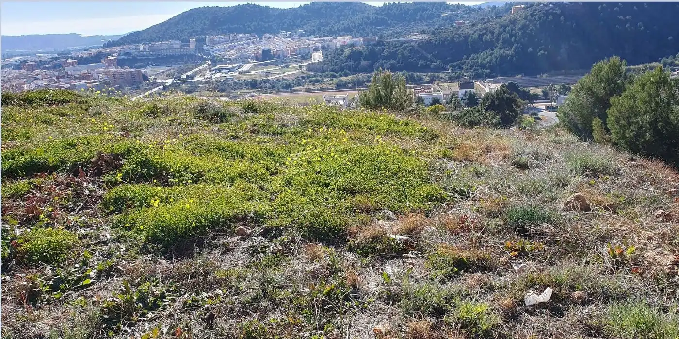 Terrenos y solares en venta en La Vall d'Uixó