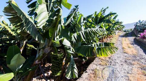 Photo 2 of Country house for sale in Playa Jardín, Santa Cruz de Tenerife