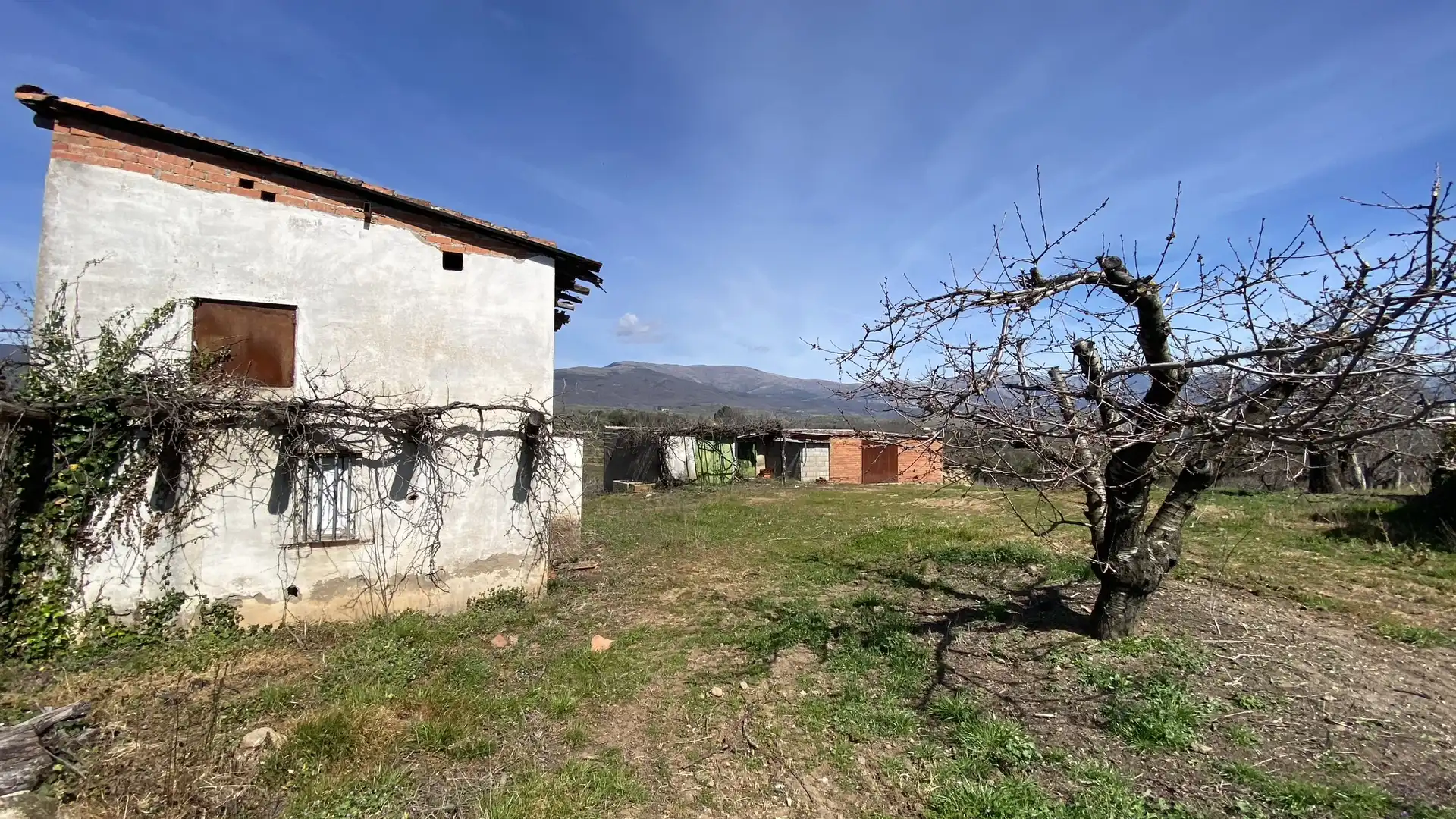 Terreni e lotti in vendita a Jaraíz de la Vera, imagen 3