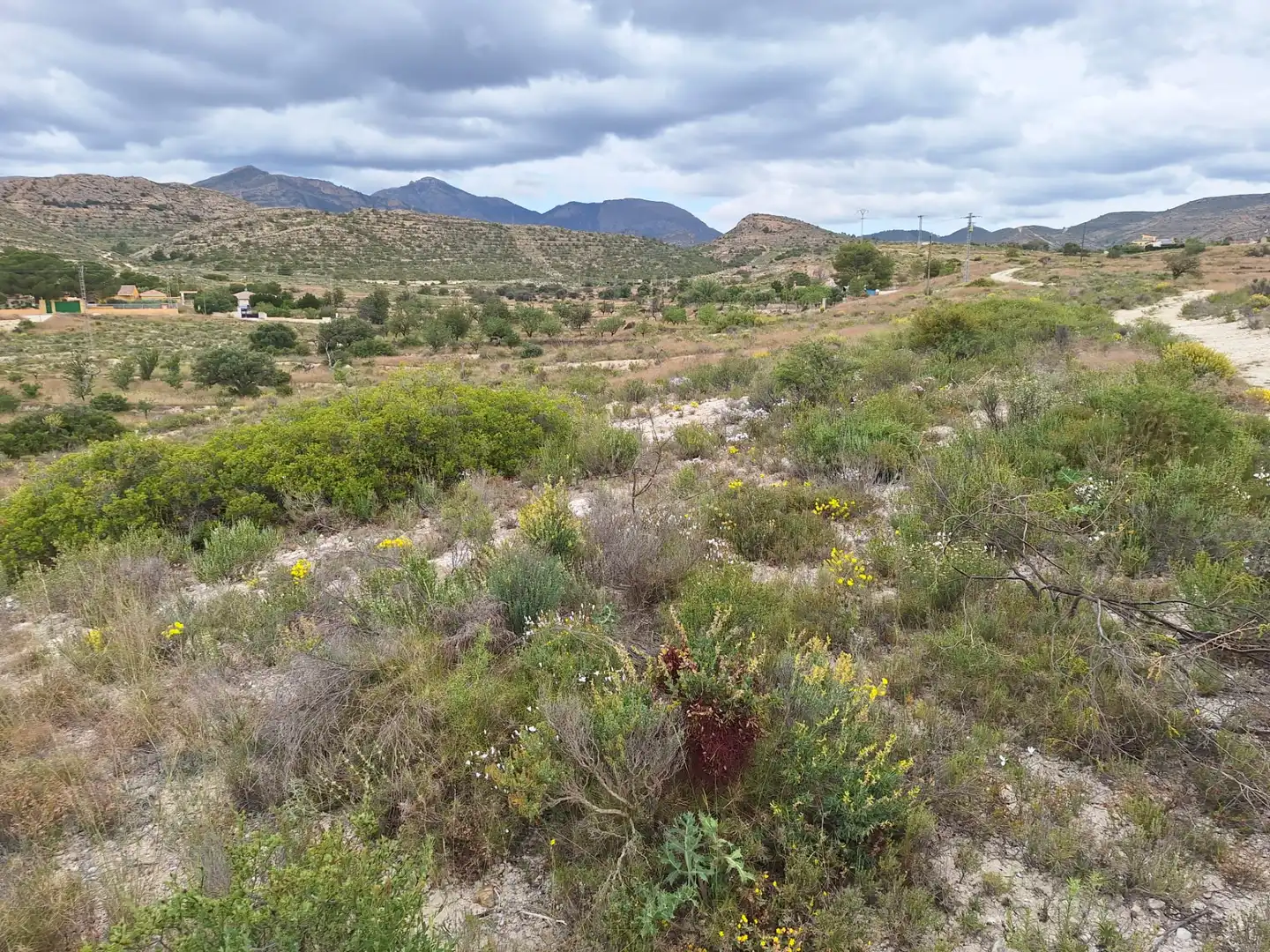 Terreny en venda en Alicante / Alacant