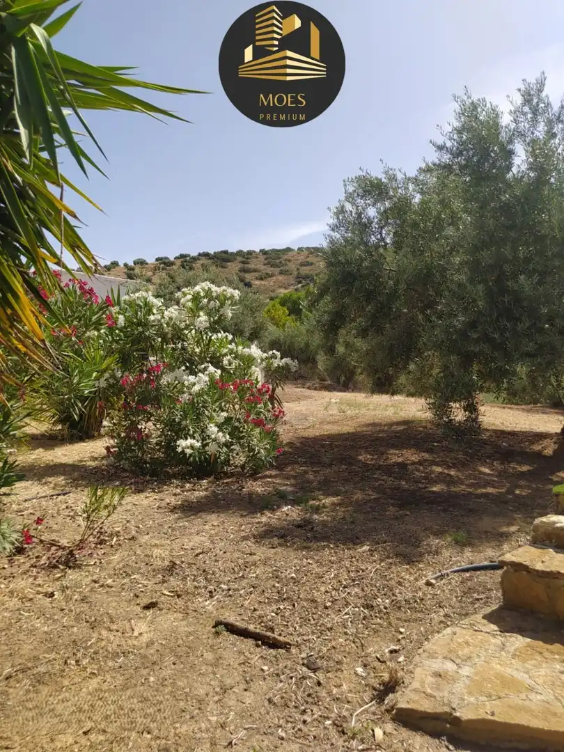House with terrace for sale in Martos, imagen 9