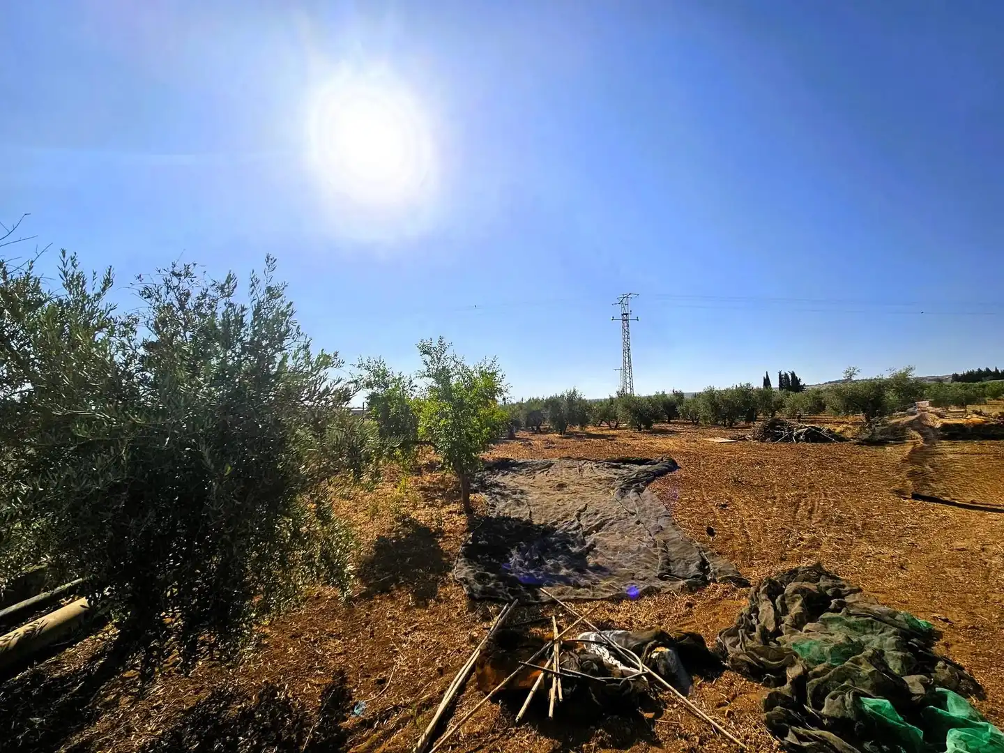 Terreny rústic en venda a Moraleda de Zafayona, imagen 41