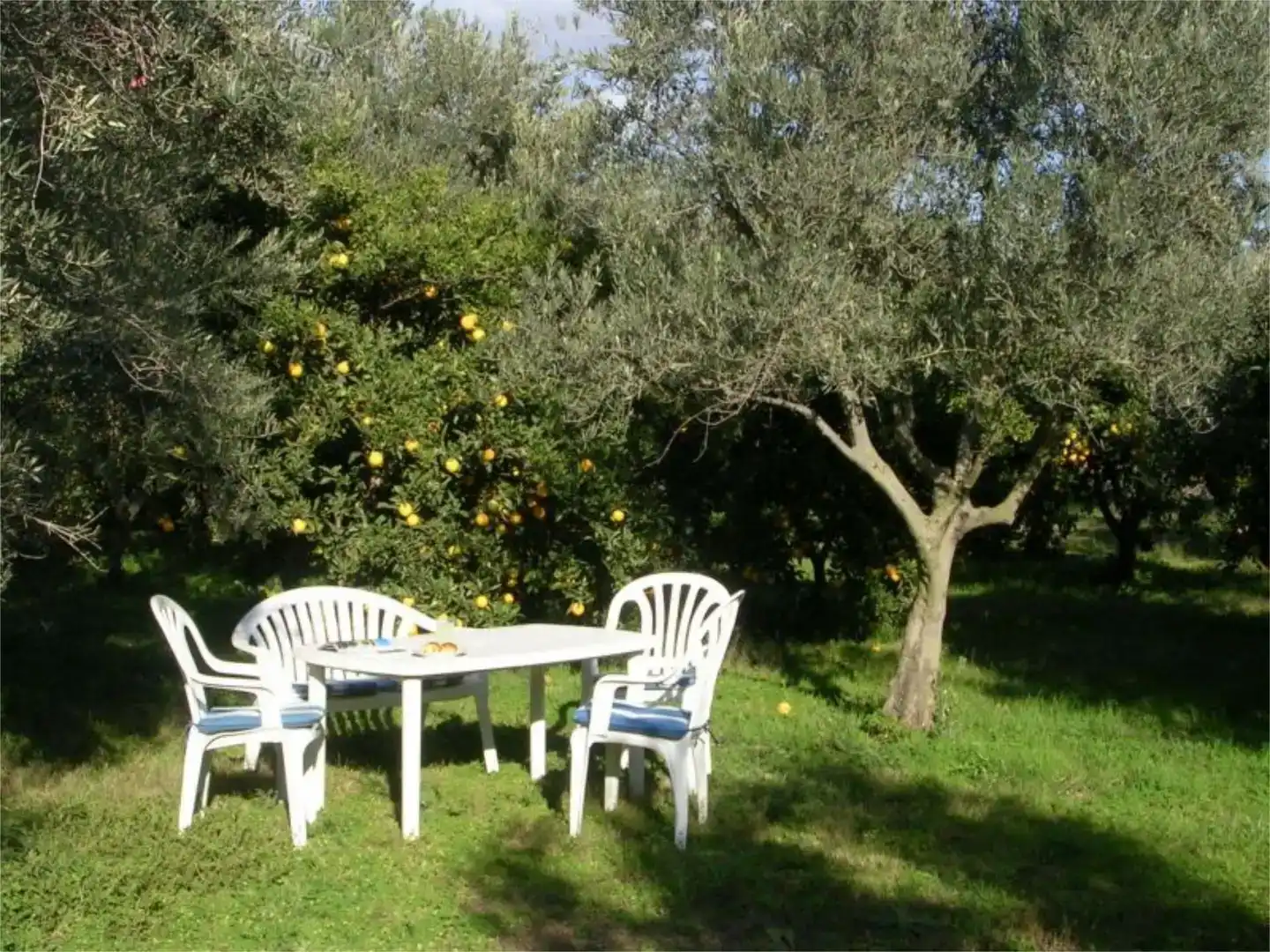 Jardí de Pis en venda en Órgiva amb Jardí privat, Parquet i Piscina