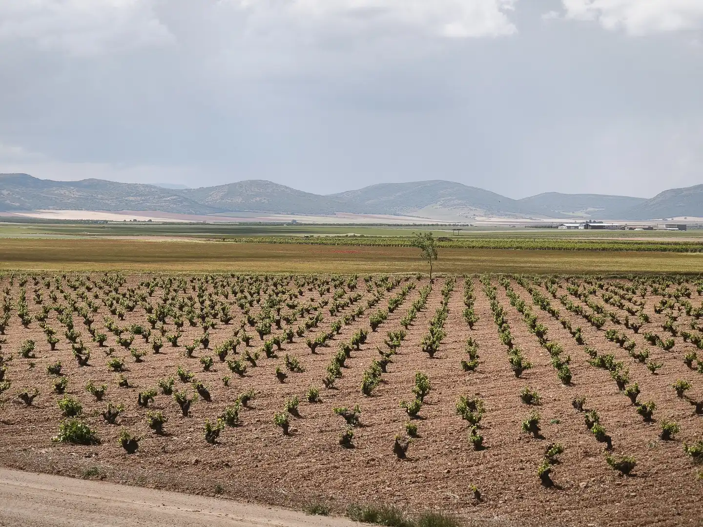 Terreno en venta en Madrid
