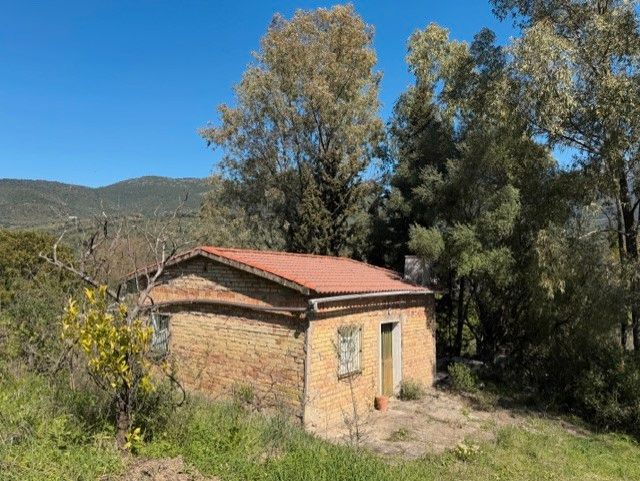 Land for sale in Benaocaz