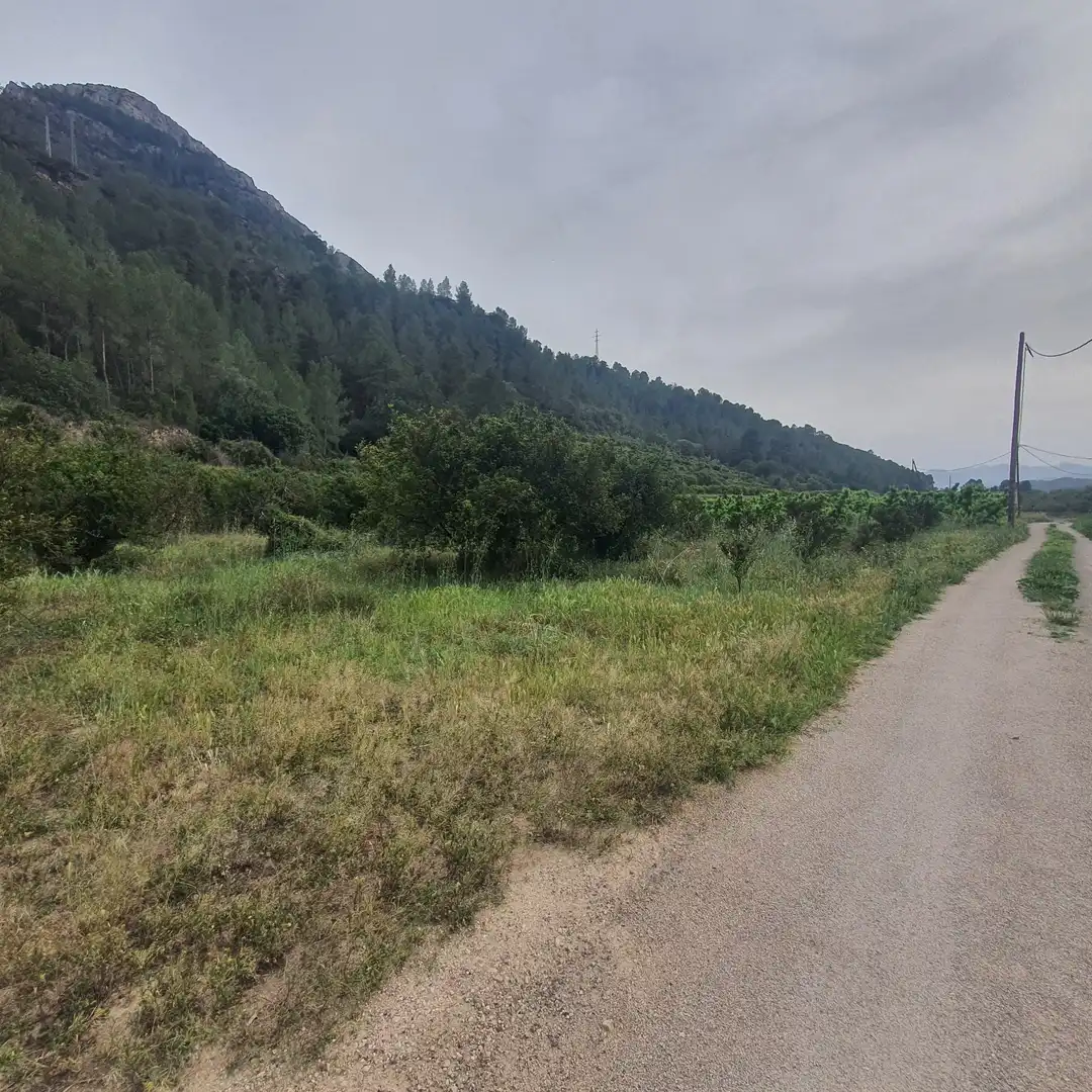 Terreno rústico en venta en Benifallet