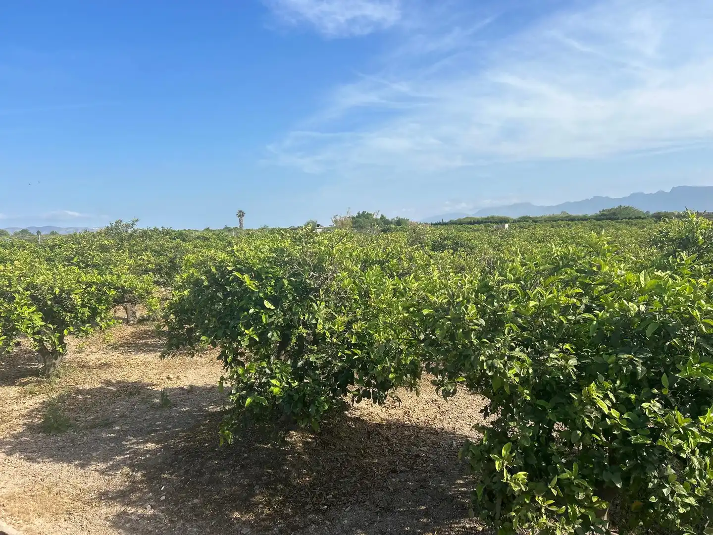 Rural land for sale in Carrer del Pou, imagen 3
