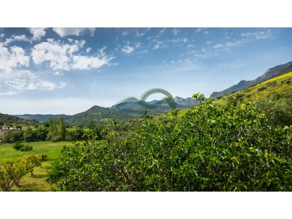 Casa en venta en Grazalema, imagen 81