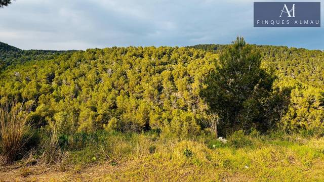 Terreno residencial en Venta en Calle dels Pins en Castellet i la Gornal