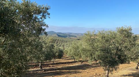 Foto 2 de Terreny en venda a Gilena, Sevilla