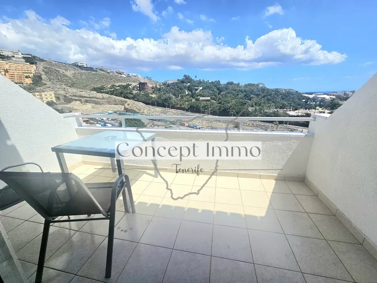 Monolocale con terrazza in vendita a Calle Finlandia, imagen 26