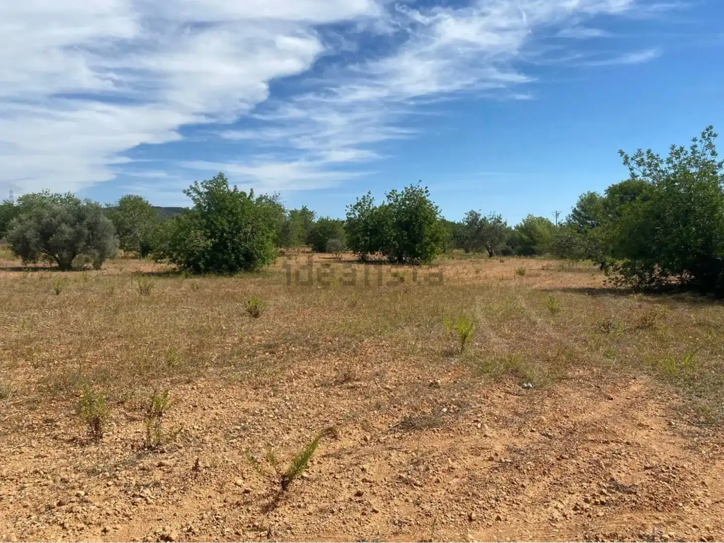 Rural land for sale in Extrarradio Diseminado 1, imagen 11