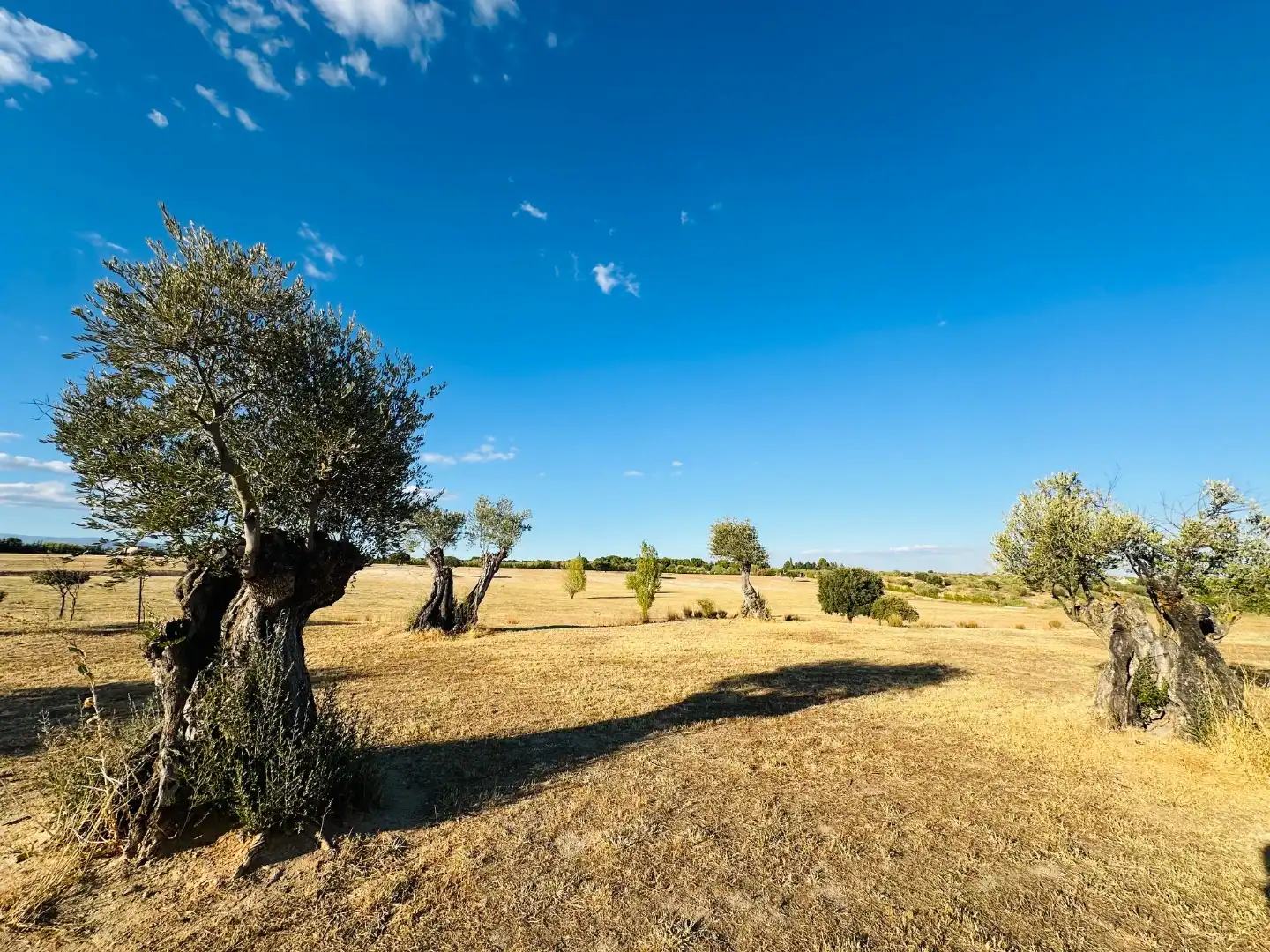 Terreno en venta en Madrid