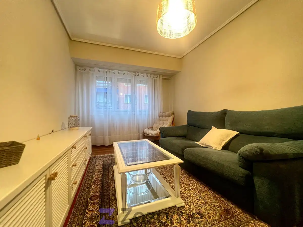 Wohnzimmer von Wohnung zur Miete in Bilbao  mit Heizung, Terrasse und Möbliert