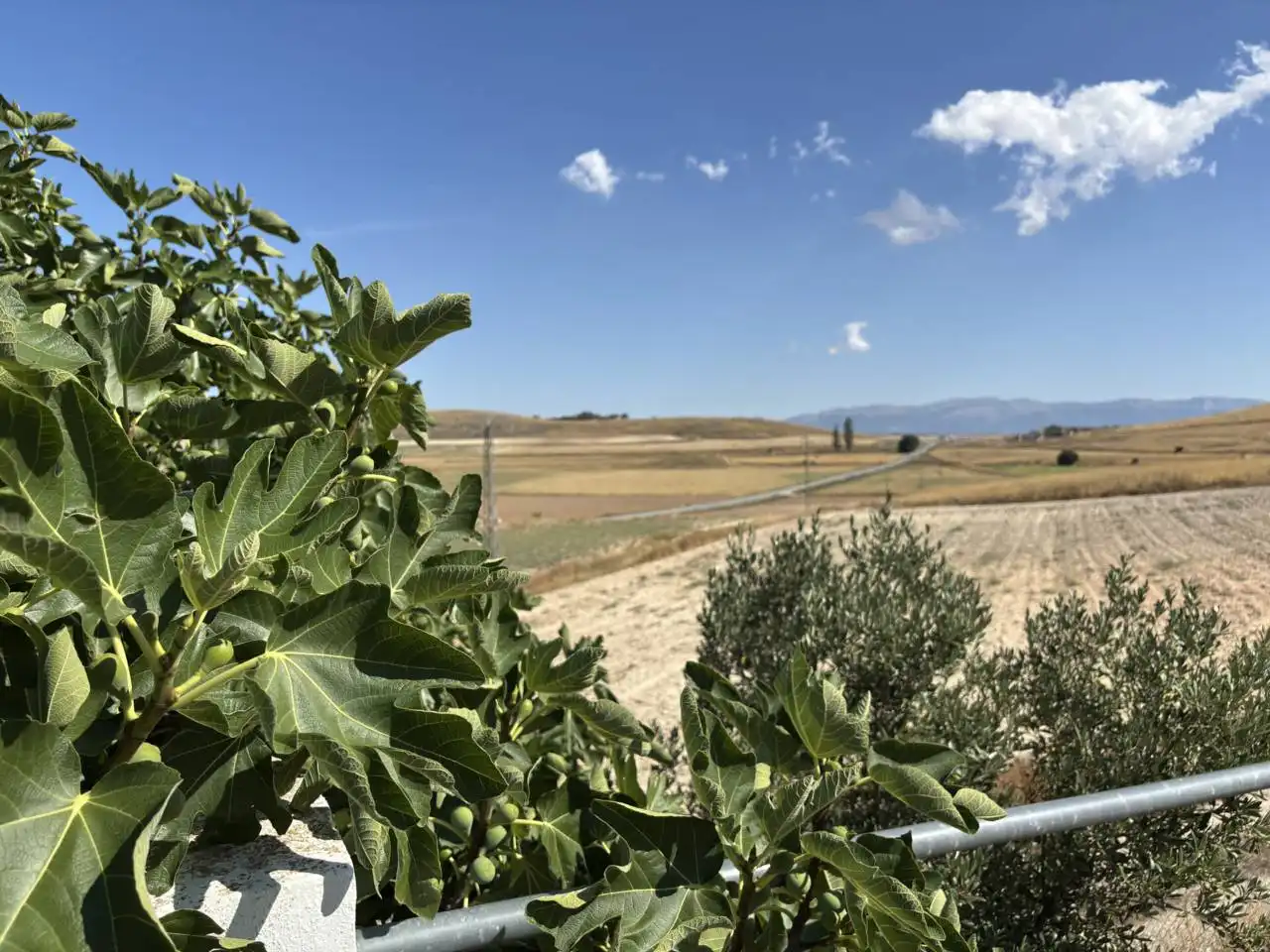 Jardín de Finca rústica en venta en María con Calefacción y Jardín privado
