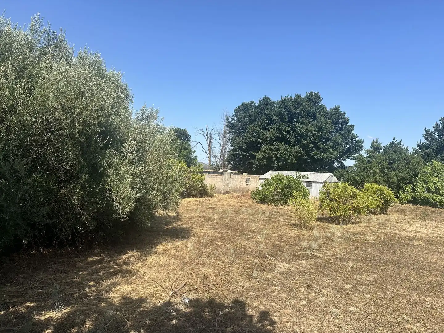 Terreno residencial en venta en Algímia de Alfara, imagen 4