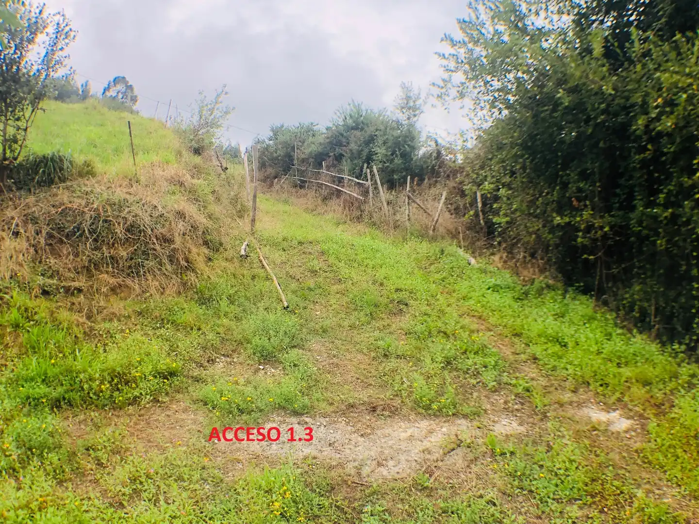 Casa o chalet en venta en Piélagos