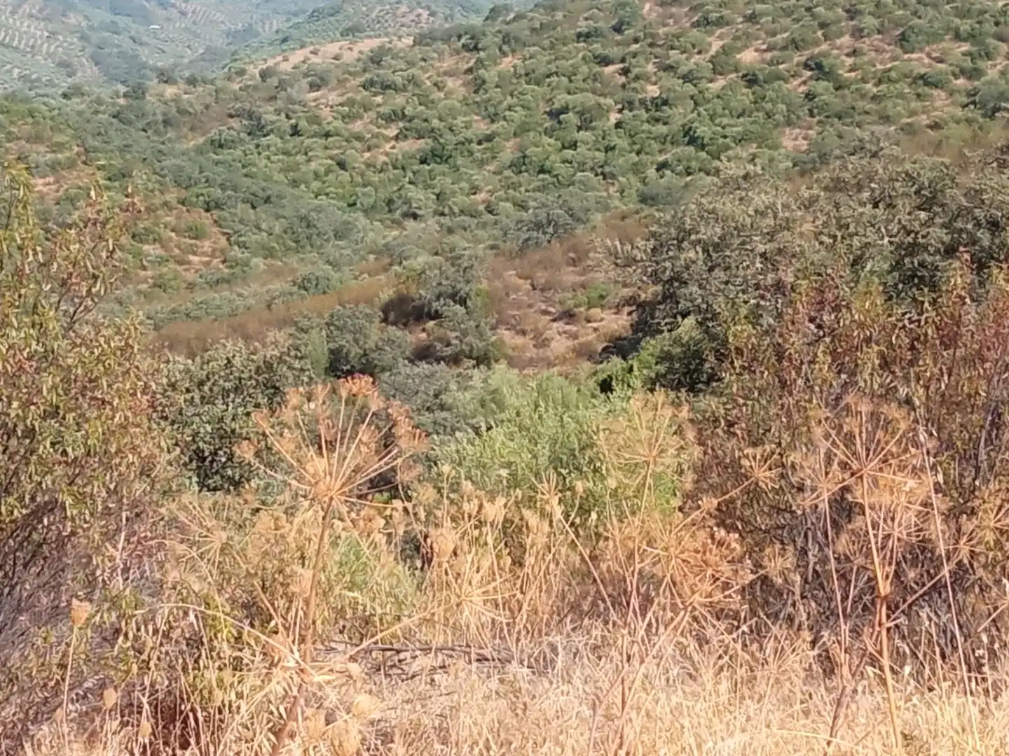Terreno en venta en Córdoba