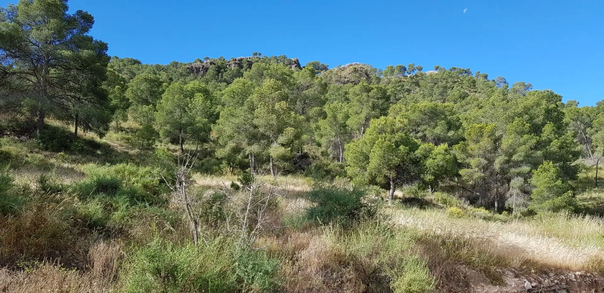 Casa o chalet en venta en Aledo con Terraza y Trastero