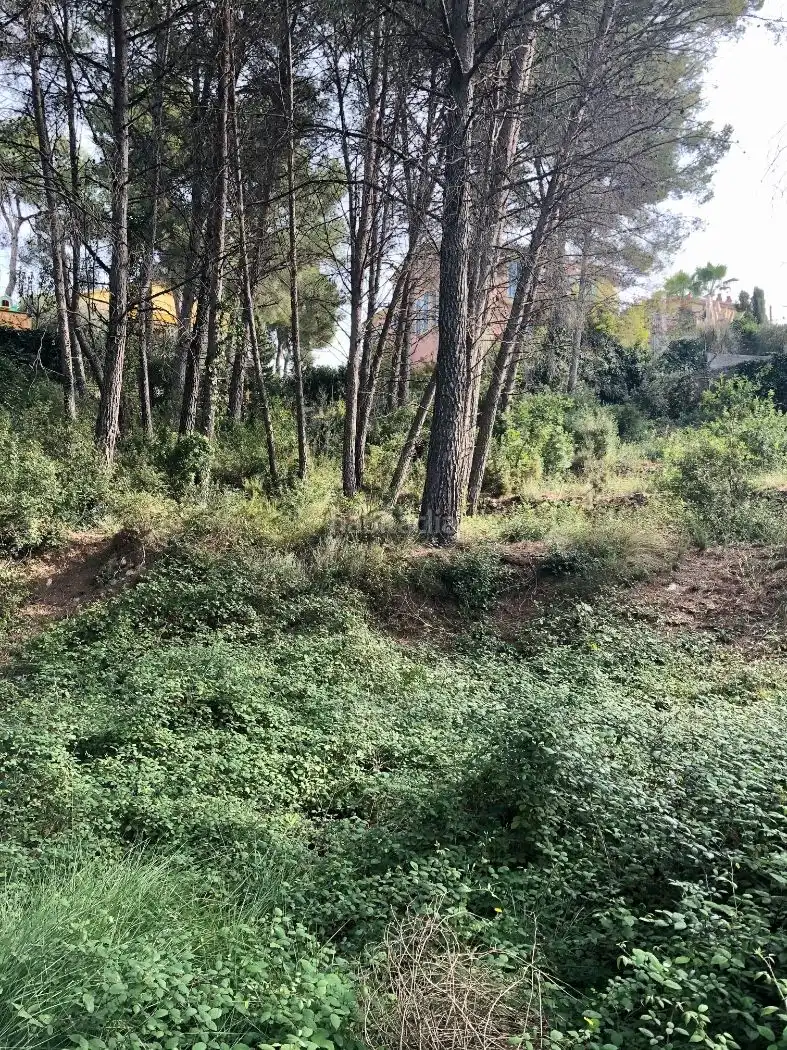 Wohnbaugrundstück zum Verkauf in Carrer del Botxi 26, imagen 2