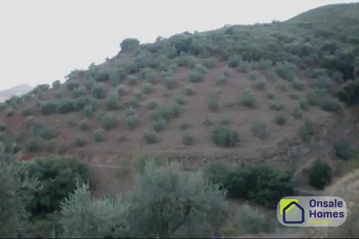Terreno rustico in vendita a Monda, imagen 6