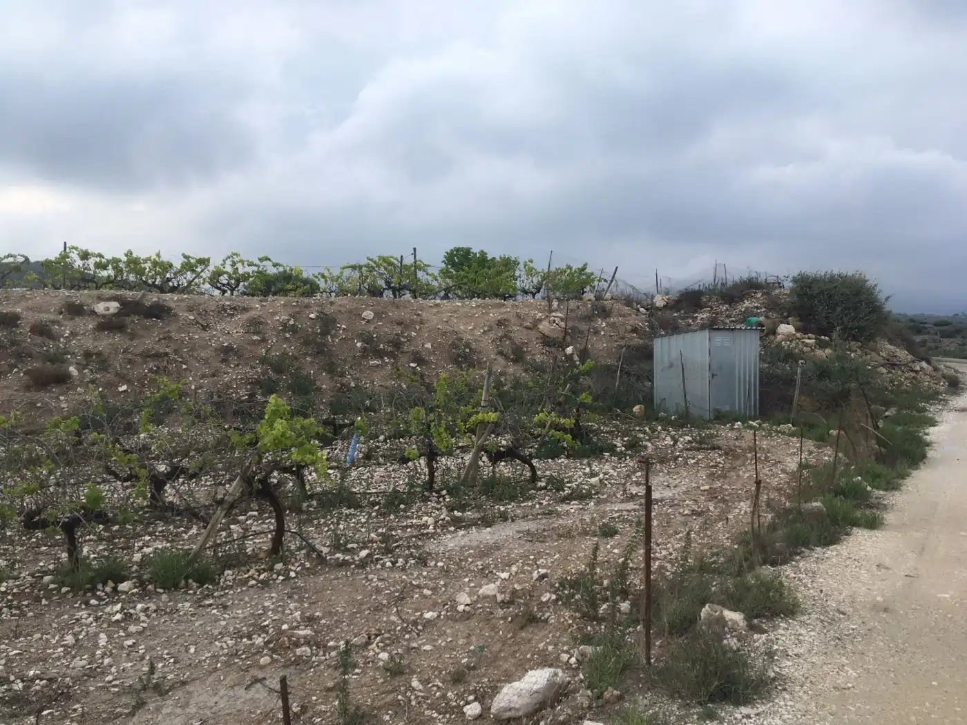 Residential land for sale in Novelda, imagen 2