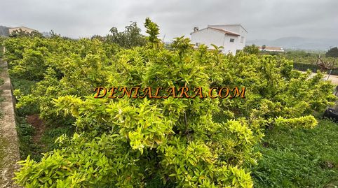 Terreno rustico de 1000m en Pego, imatge 2