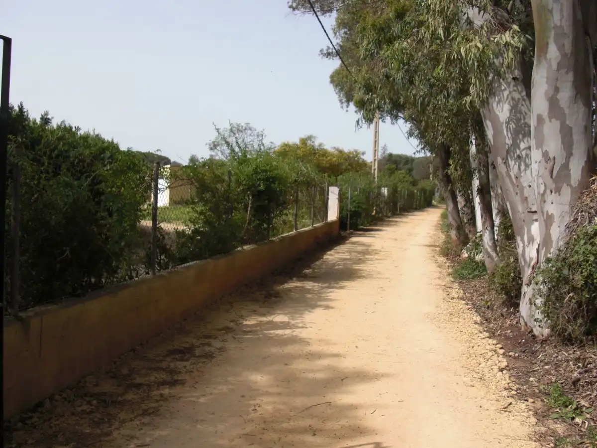 Casa rústica en venda a Vejer, imagen 17