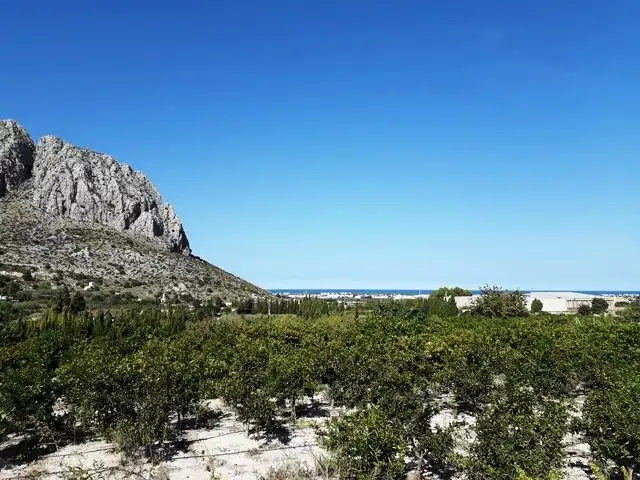 Terreny rústic en venda a Ondara, imagen 5