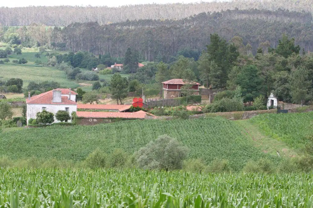 Maison rustique avec piscine à vendre à Dioño, imagen 6