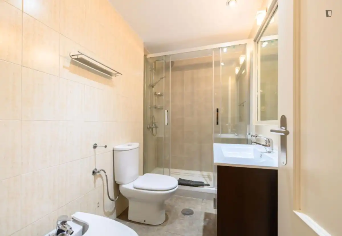 Bathroom of Apartments for rent in Madrid  with Air Conditioner, Heating and Furnished