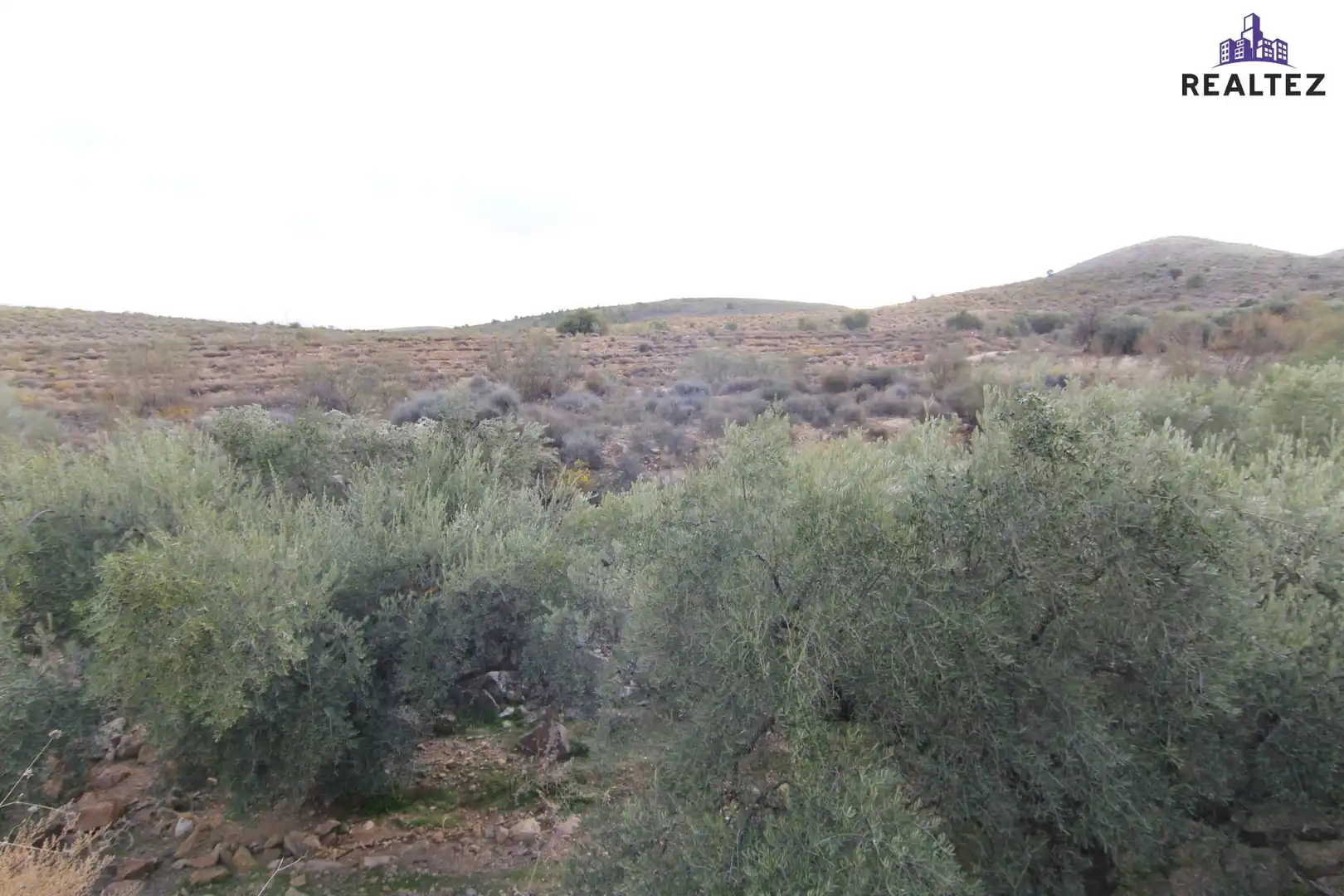 Terrain rustique à vendre à Alcolea, imagen 12