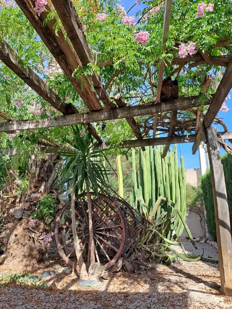 Maison rustique avec piscine à vendre à Orihuela ciudad, imagen 70