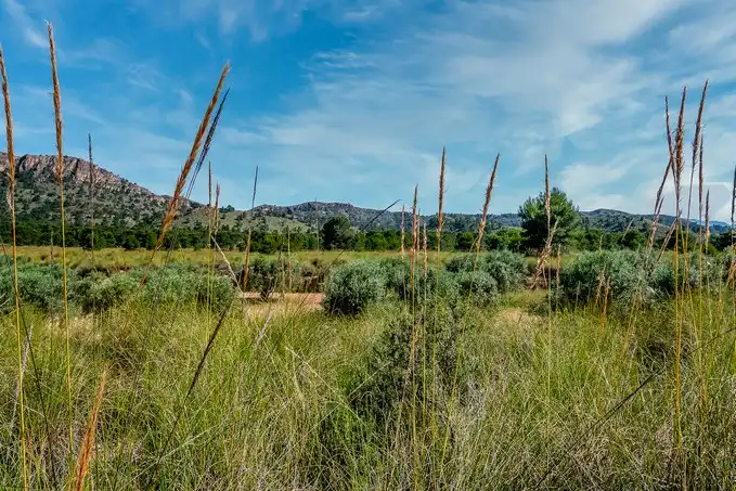 Rustikales Grundstück zum Verkauf in Paraje Fuente del Peral y Rincón del Majariego, Plg 6-7, imagen 7