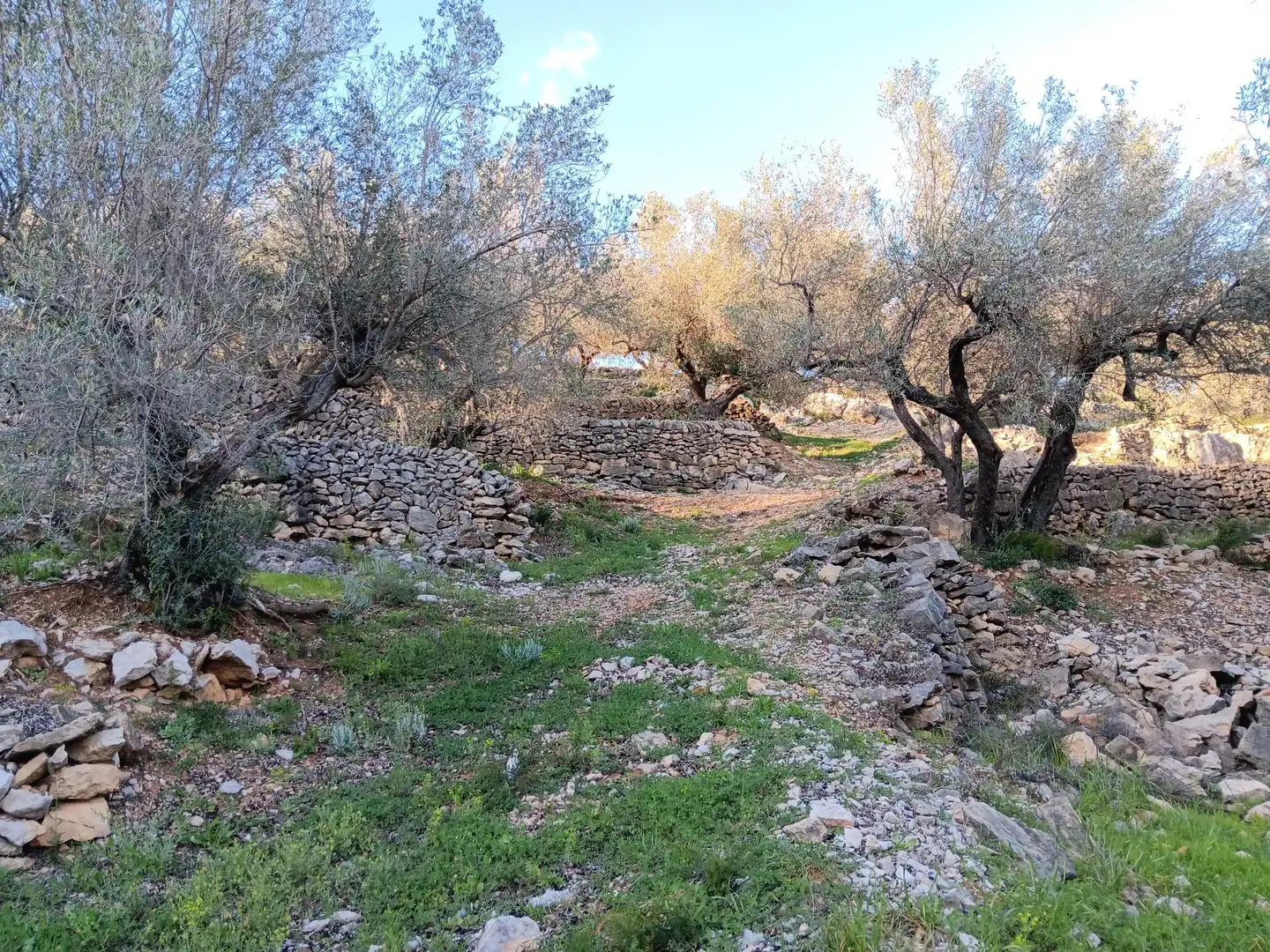 Terrenys i solars en venda a Ferreries, imagen 24