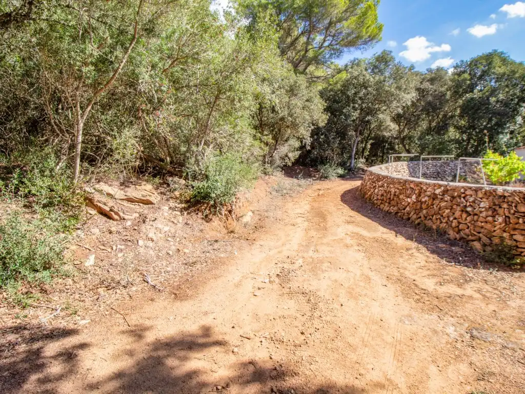 Finca rústica en venda en Es Mercadal amb Jardí privat