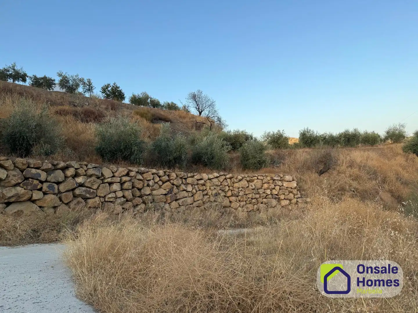 Terreno rustico in vendita a Camino de Guajar, imagen 3