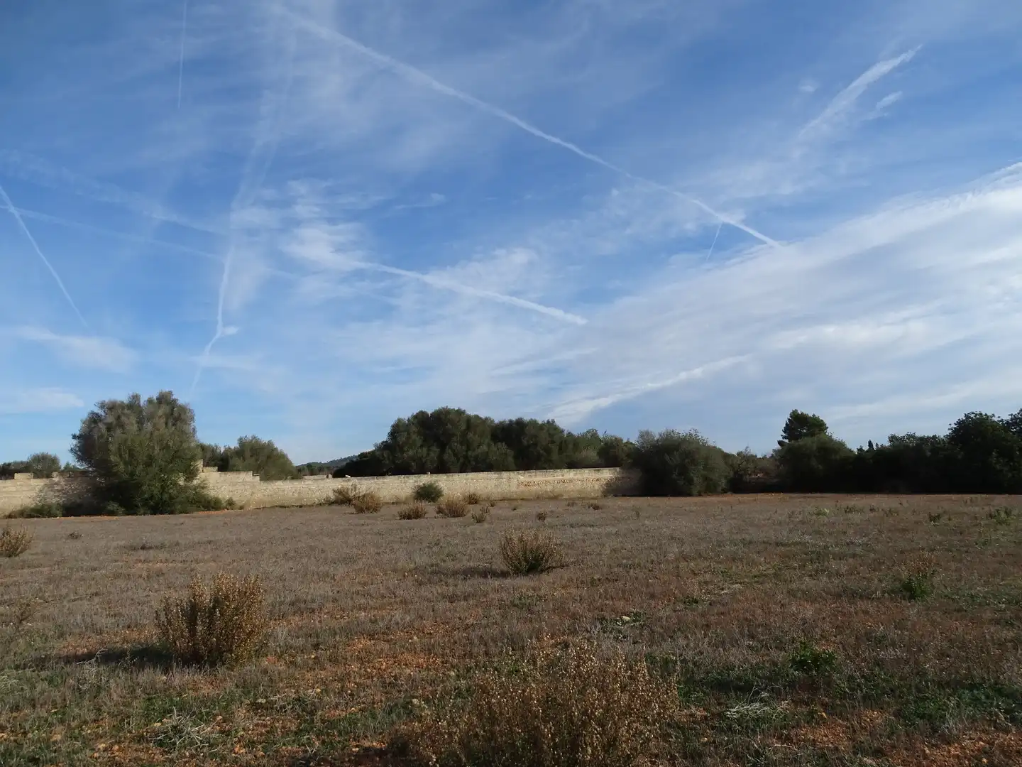 Terreno rustico in vendita a Llucmajor pueblo, imagen 3